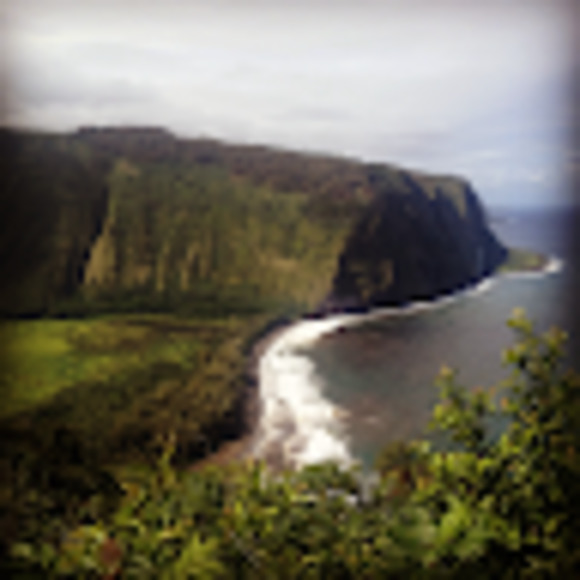 Meet your Posher, Tim - Picture 1 of 1